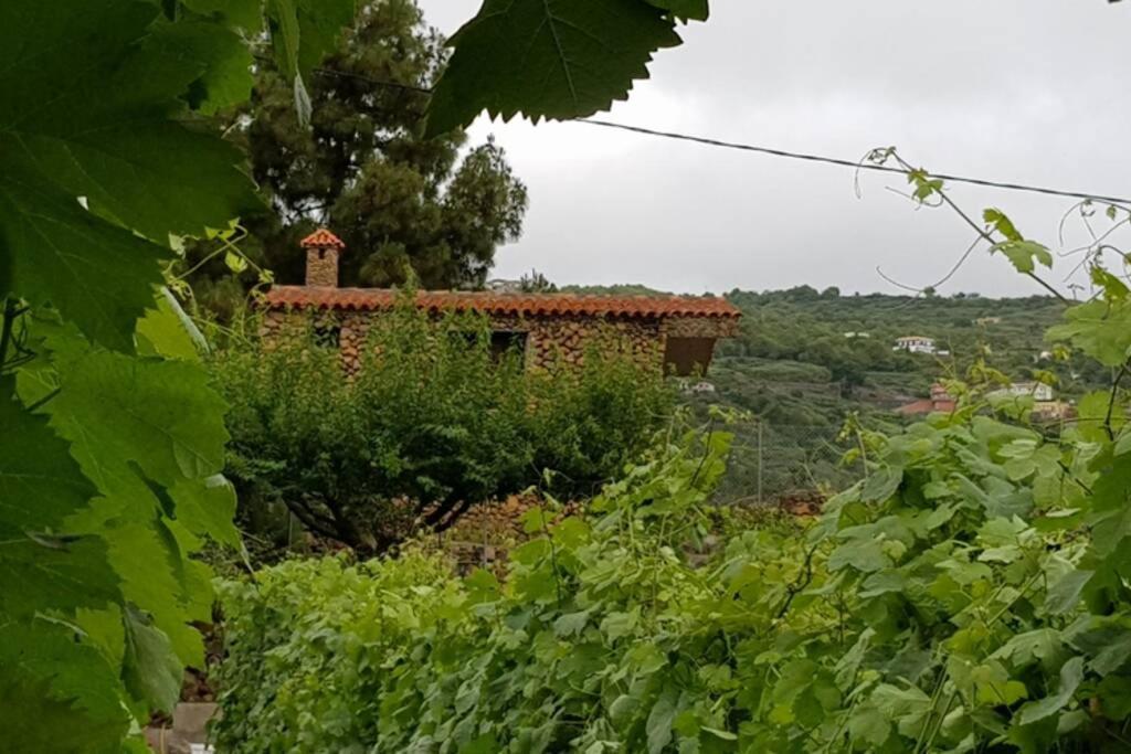 La Tagora Conect With The Nature & Relax Icod De Los Vinos Esterno foto