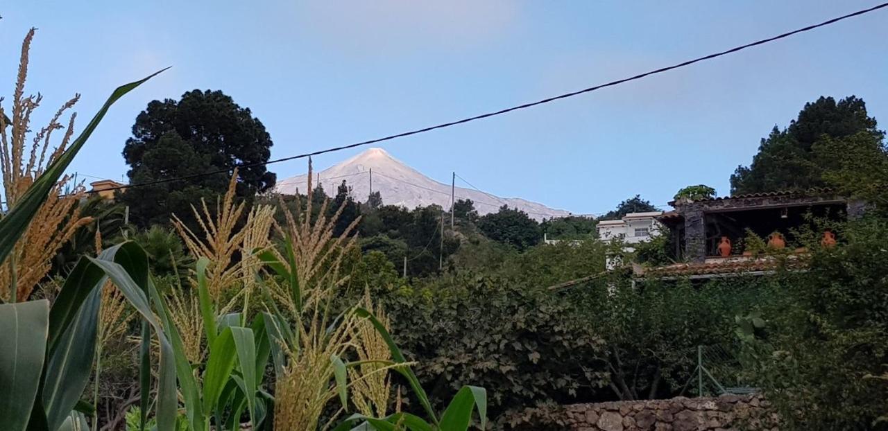 La Tagora Conect With The Nature & Relax Icod De Los Vinos Esterno foto