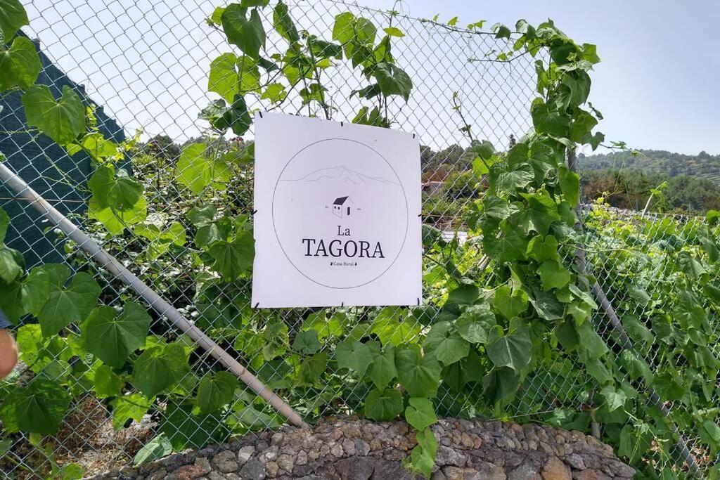 La Tagora Conect With The Nature & Relax Icod De Los Vinos Esterno foto