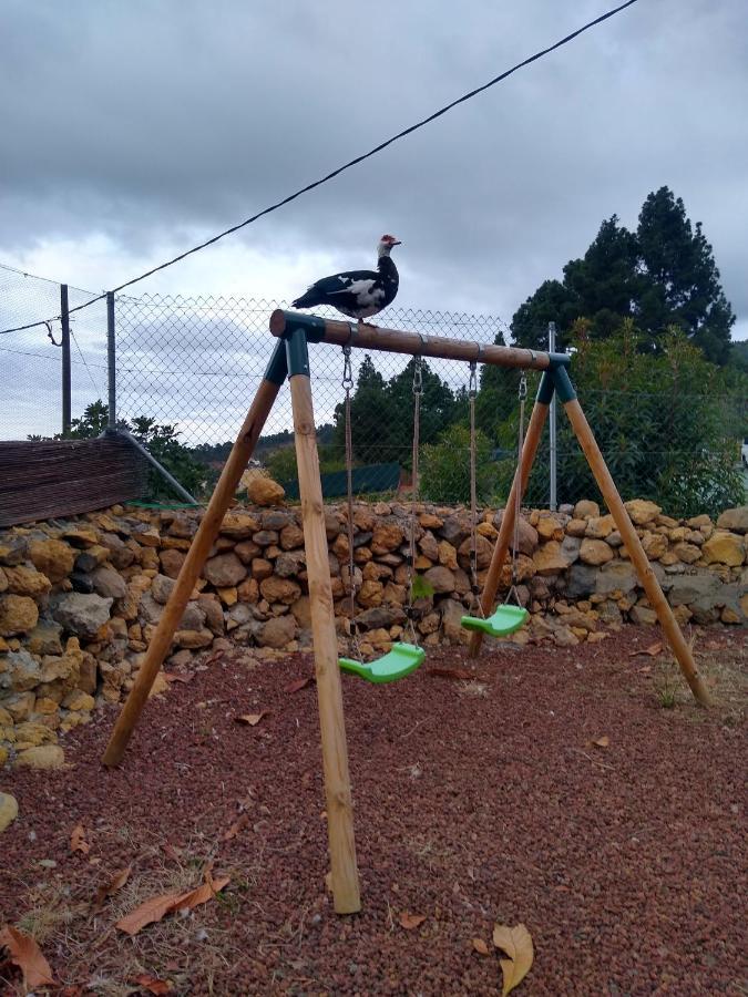 La Tagora Conect With The Nature & Relax Icod De Los Vinos Esterno foto